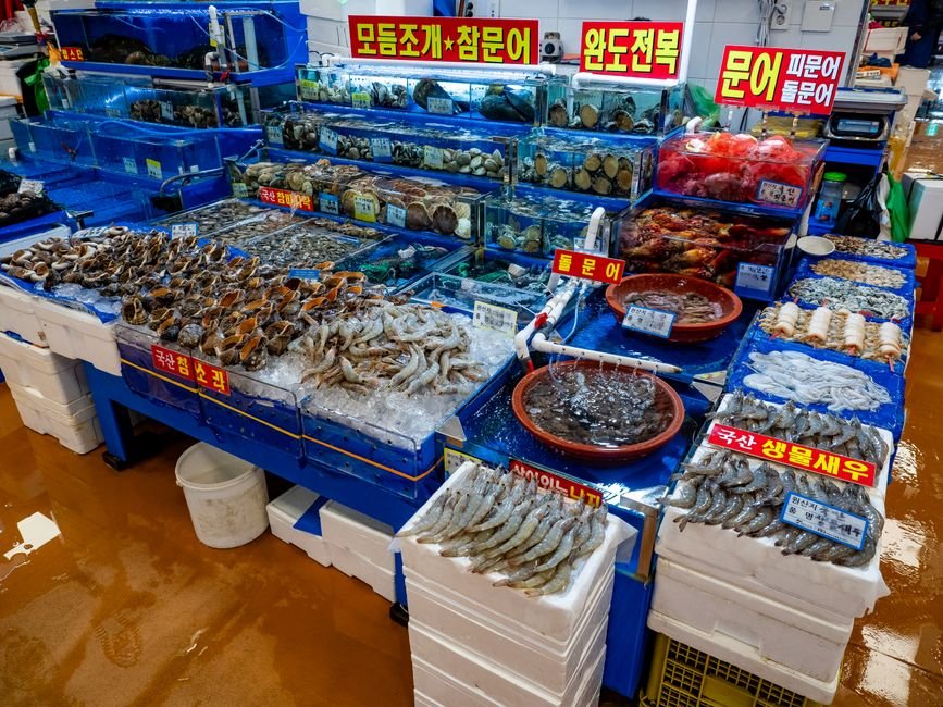 가을 꽃게 금어기 해제…산지·마트 유통 활기